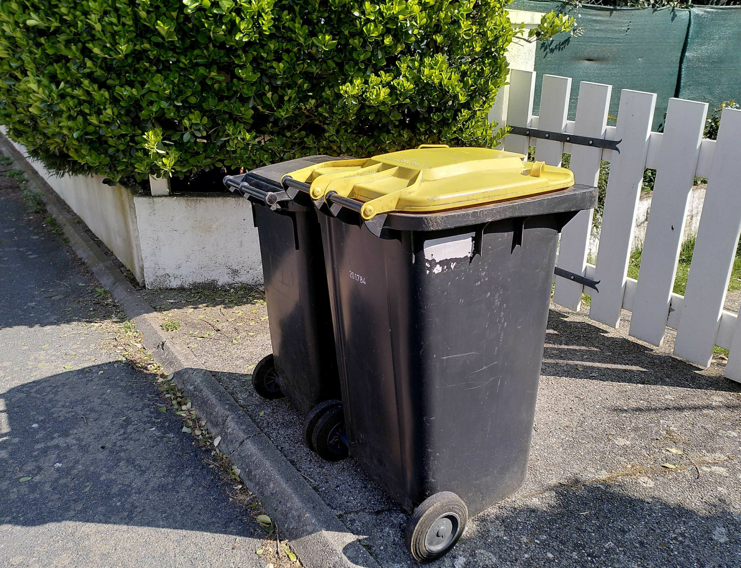 Bacs_Zero Waste France_crédits PDebrabandere