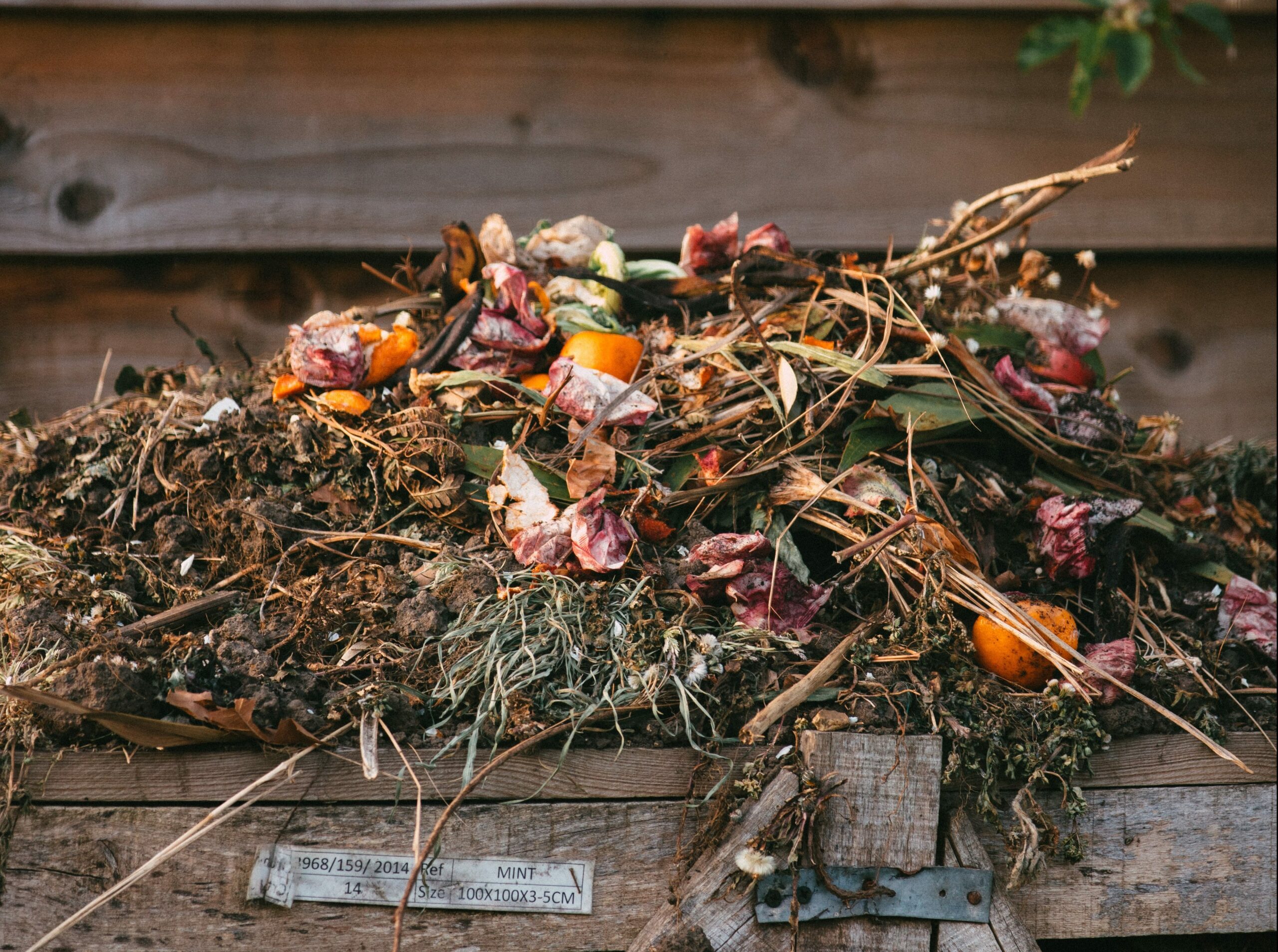 Compost Compost